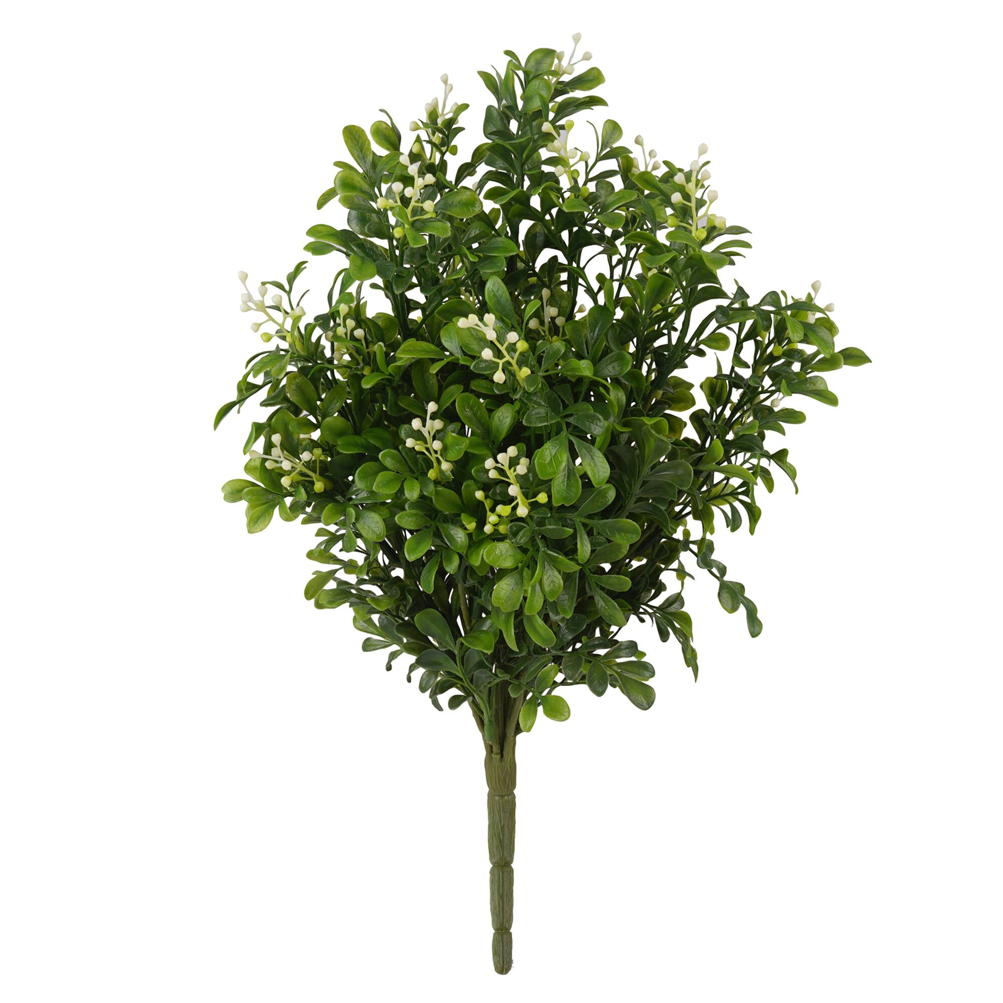 8 Pack: Boxwood & Berry Bush by Ashland®